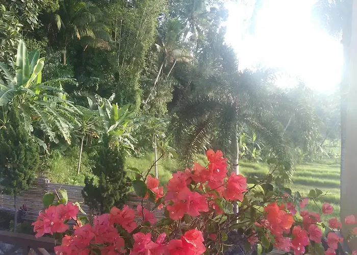 Bali Butterfly Villas Ferienpark *